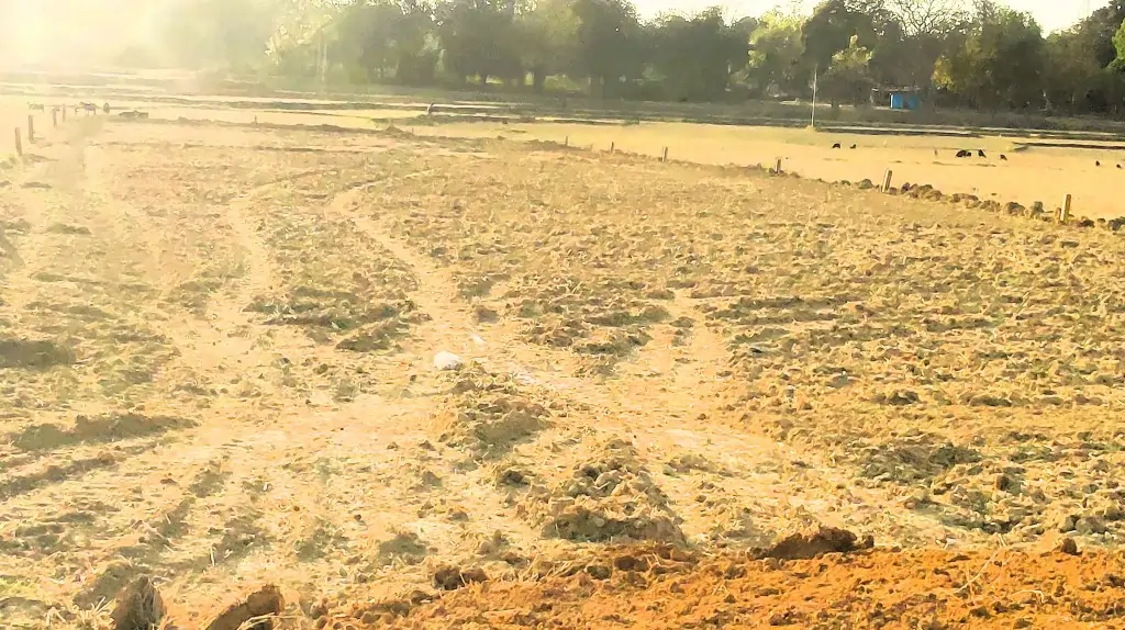 RTBT Infrastructure developer Property Plots Plots Area